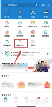 京东逾期哪里查？逾期了怎么办？