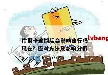 怎么查哪里逾期？逾期后该如何应对？