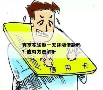 年费逾期哪里查？逾期后果如何应对？