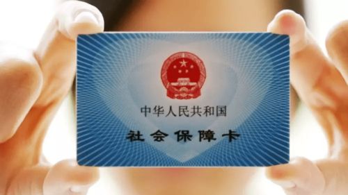 社保卡怎么申领？第一次办卡手忙脚乱？一文讲透流程+避坑指南
