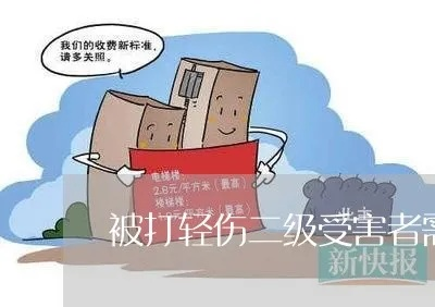一、啥是轻伤害？可不是你觉得轻就轻