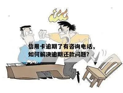 信贷逾期了怎么办？哪里可以咨询专业帮助？