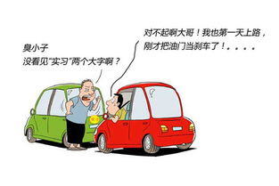 开车撞了人跑了？致对方轻伤会有啥后果？
