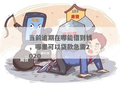 逾期在哪里借款？突然逾期了怎么办？