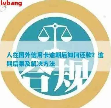 外籍逾期哪里罚款？别慌，律师教你如何应对
