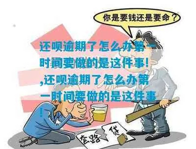 那如果真是你借的钱，也确实逾期了，怎么办？记住三步走