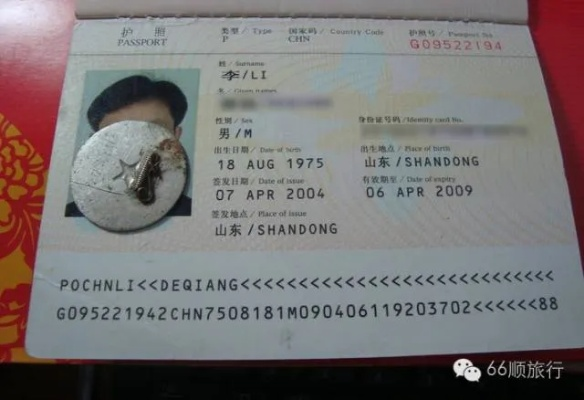怎么查护照号码？一不小心弄丢了怎么办？