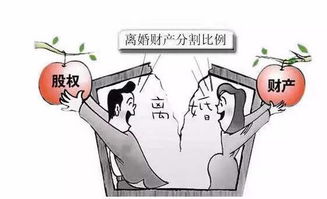 离婚后的房产多久能分好？关键步骤和实用指南