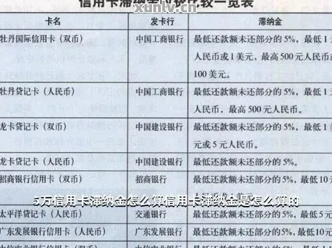 怎么查卡里余额？一不小心漏看账单，竟被扣了滞纳金！