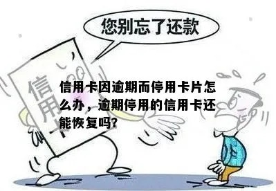 信用卡突然被停用？别慌！教你3招快速应对，还能挽回信用记录