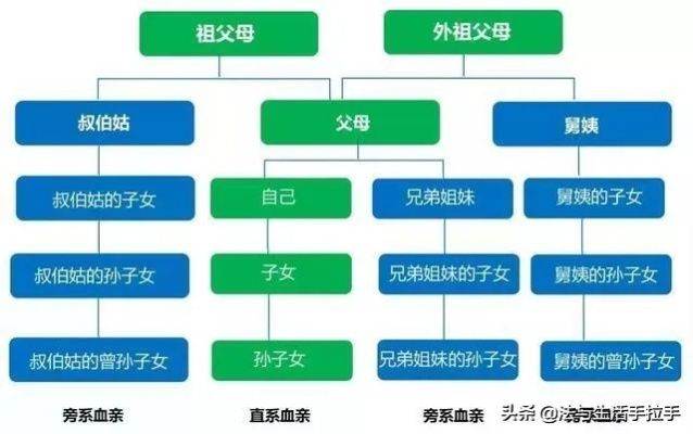 亲属关系怎么填？填错了影响有多大？一文说清所有细节！