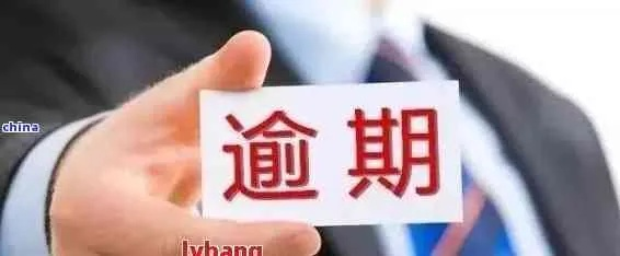 逾期去哪里借钱？如何避免债务陷阱？