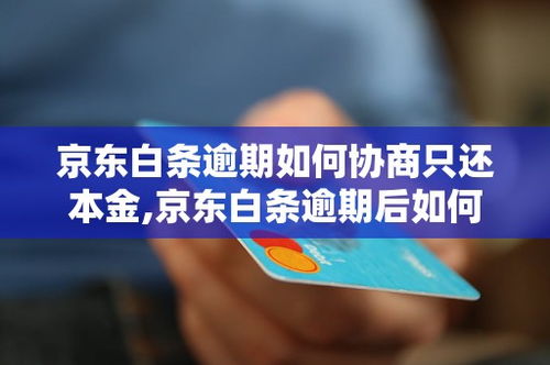 白条逾期哪里投诉？逾期了怎么办？专业律师教你应对