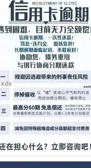 逾期申诉在哪里？手把手教你化解信用危机！