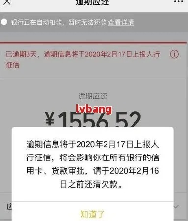 哪里能查询逾期？突然逾期了怎么办？