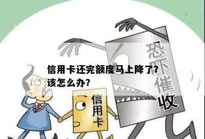 信用卡额度怎么提不上去？突然被降额了，我该怎么办？
