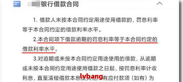 借钱渠道怎么选？逾期还款怎么办？