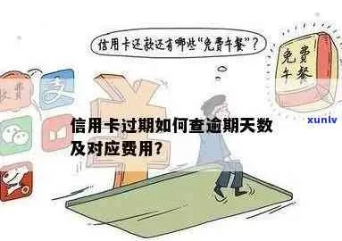 逾期信息哪里查？如何避免不良记录影响你的信用？