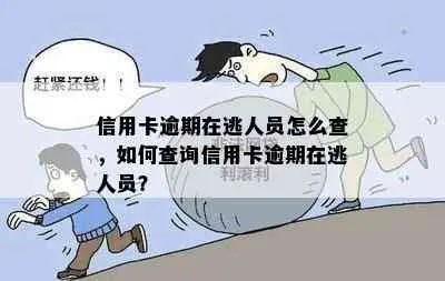 逾期人数哪里查询？专业人士教你安全查询方法