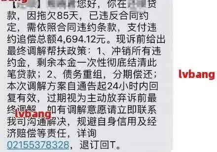 贷款逾期哪里查询？逾期了怎么办？