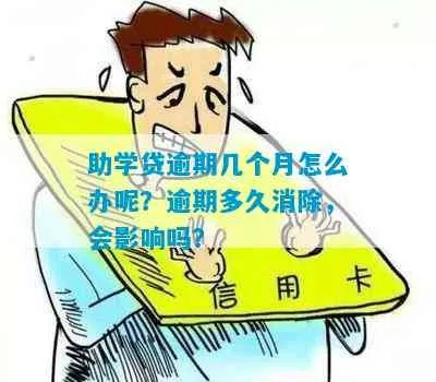 助学贷款逾期被短信轰炸？别慌，先搞清这三件事再行动！