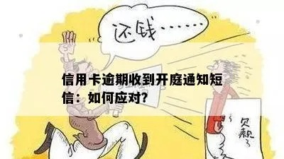 收到银行贷款逾期开庭短信别慌！这三步走对了，还能翻盘