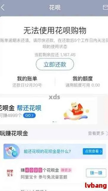 花呗还不上怎么办？延期还款怎么操作？逾期后果有多严重？