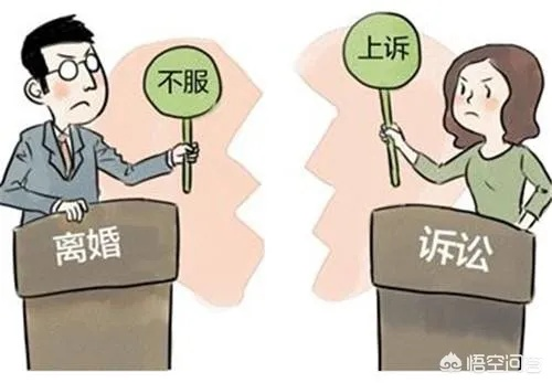 离婚诉讼被驳回了？多久可以再起诉？律师为你支招