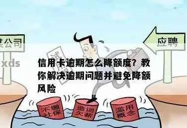 信用卡额度突然被降？别慌！教你三招反制，还能逆风翻盘