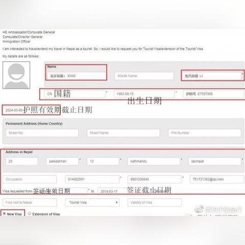 电子签证怎么办理？手把手教你避坑，一次通过不走弯路！