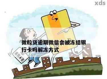 贷款逾期被起诉短信来了怎么办？别慌，先搞清这5件事！