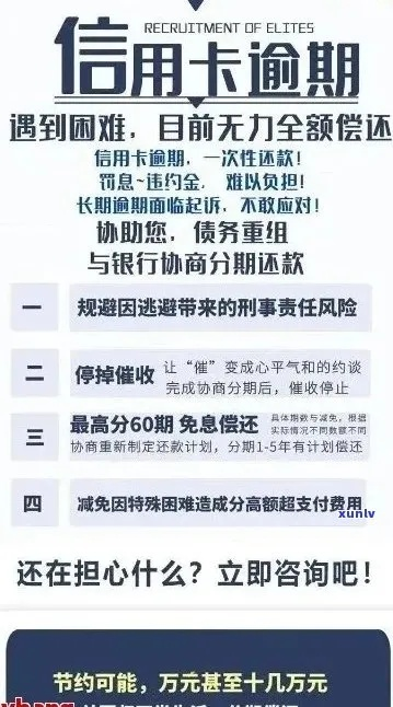 逾期信用卡哪里能看？突然逾期了怎么办？