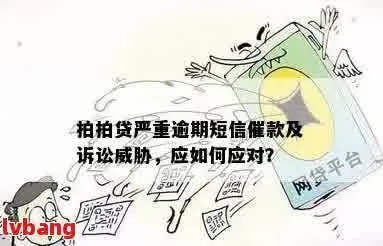 短信提醒小贷逾期了？别慌！一文讲清后果、应对与自救全攻略