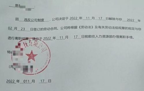 被公司辞退了怎么赔？赔偿标准搞不清？一文说透你的权益底线！