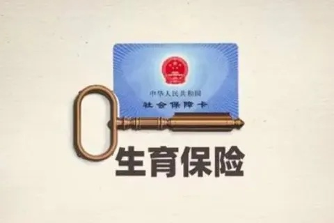 生育险怎么查？查不到记录别慌，教你三招搞定！