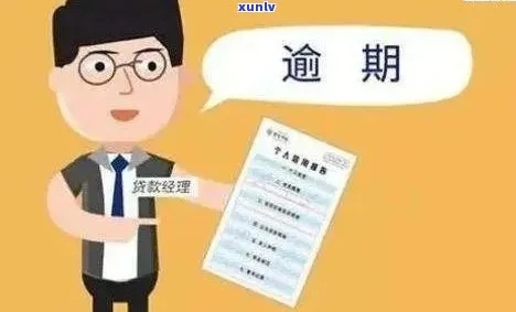 信用卡逾期了怎么办？该上报到哪里？