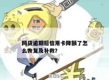 信用卡突然被降额？别慌！逾期短信背后的真相和自救指南
