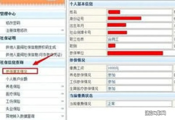 浙江社保怎么查？手把手教你避坑，信息不透明别再干着急！