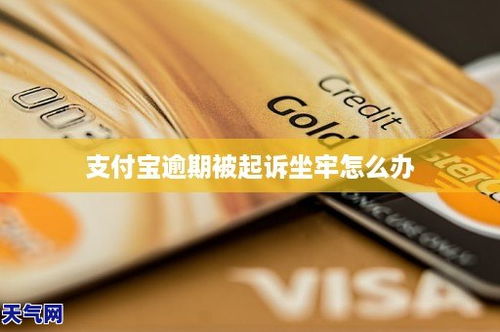 支付宝逾期起诉在哪里看？被起诉了怎么办？