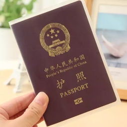 保安证怎么查？手把手教你快速验真伪，避坑指南来了！