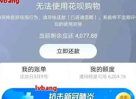 哪里查花呗有没有逾期过？逾期后如何修复信用记录？