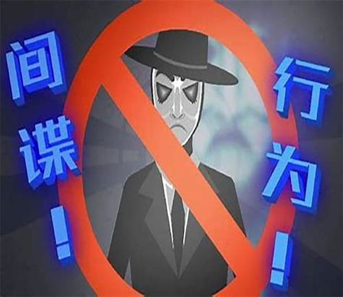 发现间谍咋办？举报后会怎样？这些关键细节你必须知道！