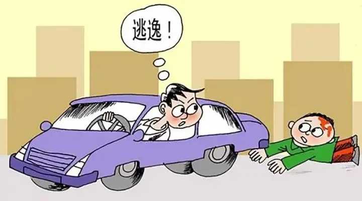 撞了人就跑？别以为能逃得掉！肇事逃逸到底怎么认定，一文说清！