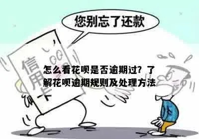 花呗在哪里看是否逾期过？逾期了怎么办？