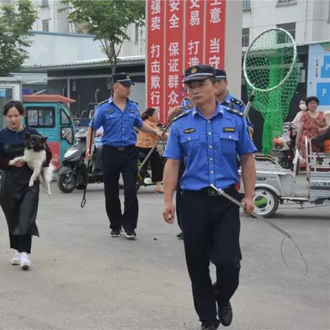 养狗证怎么办理？不办会有什么后果？一文讲清所有细节！