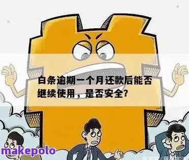 白条的逾期费哪里可以看？逾期了如何应对？