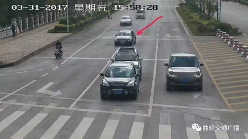 交通违章怎么查？一不小心被拍了怎么办？手把手教你避坑维权！