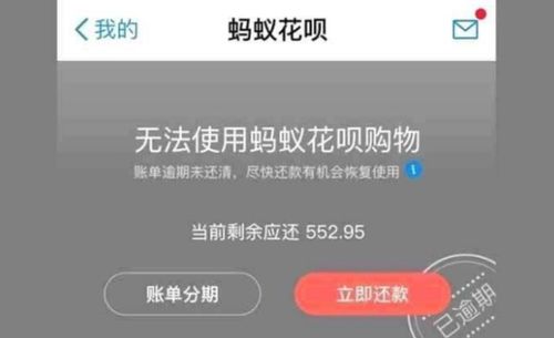 花呗逾期了怎么查？逾期后果与应对全解析