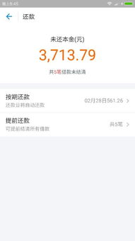 花呗借呗逾期记录哪里查？逾期了怎么补救？