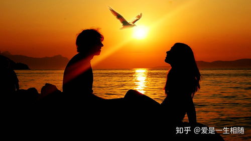 离婚后复婚要多久？突然想复婚了怎么办？
